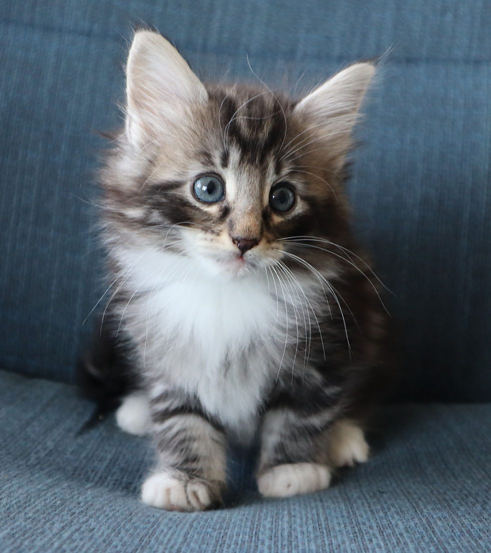 Happy 6,5 weeks_3