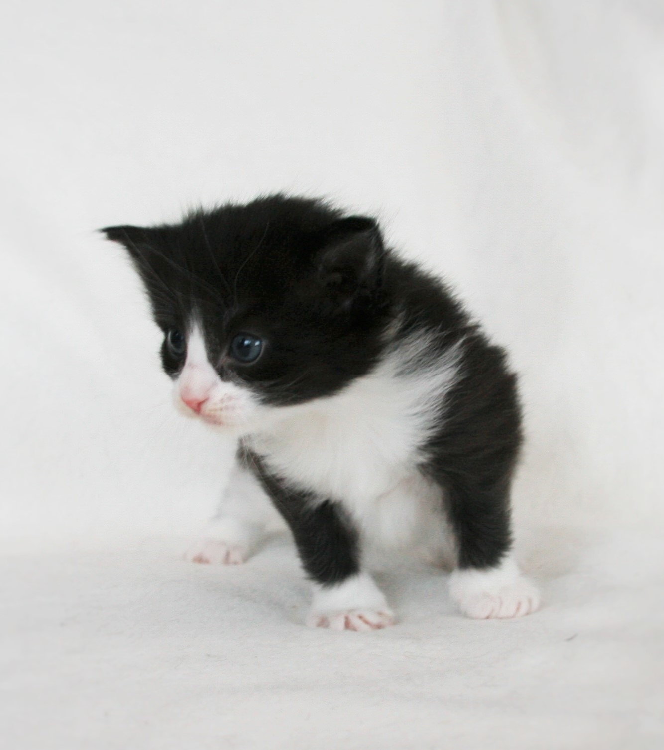Imelda 3 weeks_2
