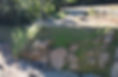 a74be51d-7369-4f78-97cb-b488fa57ef96.jpg