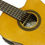 Küçük resim: Cordoba C1 CE Elektro Klasik Gitar