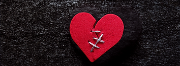 shutterstock_1898354080_edited_edited_ed