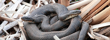 shutterstock_1898354080_edited_edited_ed
