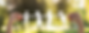 shutterstock_1898354080_edited_edited_ed