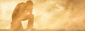 shutterstock_1898354080_edited_edited_ed