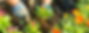 shutterstock_1898354080_edited_edited_ed