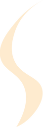 Asset 22_4x.png