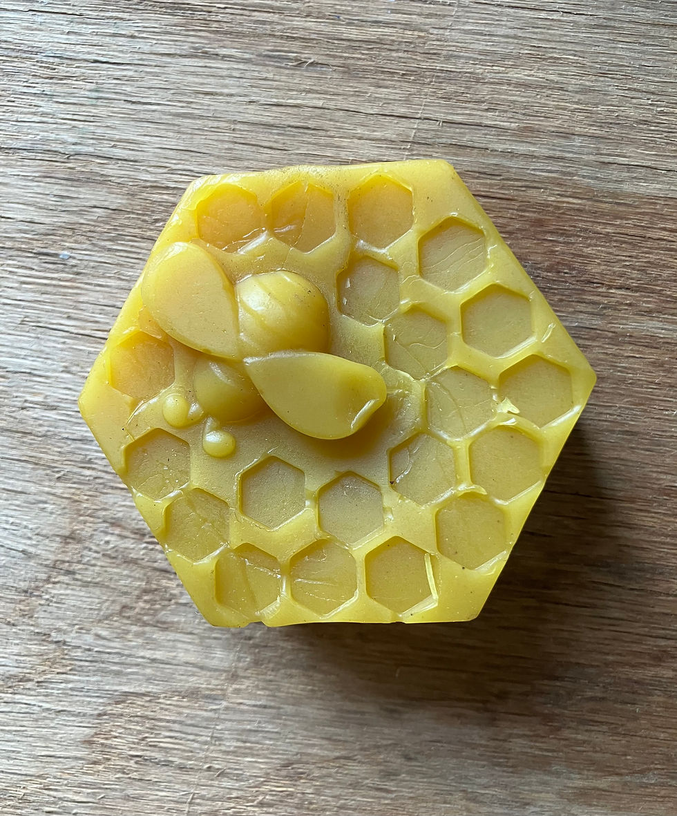 Thumbnail: Beeswax