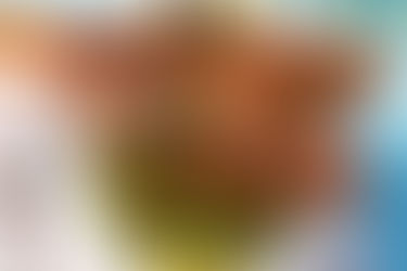 Летнее меню