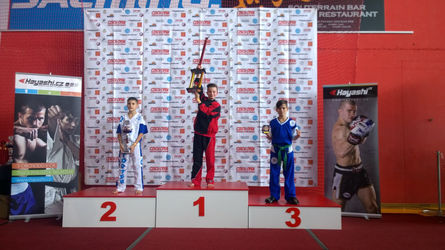 Прямой нокаут сделал чемпионом