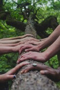 First Steps of Branding for Social Entrepreneurs