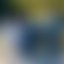 Localizan a familia extraviada en Mineral del Chico