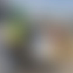 Al corralón 46 unidades de transporte público por irregularidades