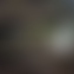 Balcón Político: San Primitivo, Triste Recuerdo