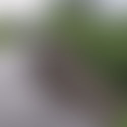 Debido a las lluvias se desgaja carril de carretera en Tlanchinol