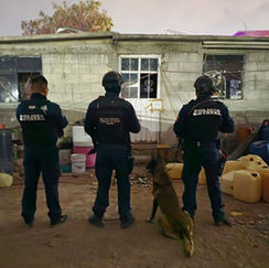 Decomisan droga en Epazoyucan; en operativo detienen a una persona