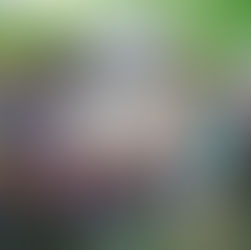 Impulsan desarrollo integral de adultos mayores a través de la lectura