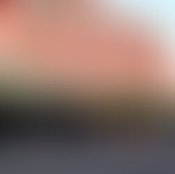 Justifica Menchaca colocación de vallas por 8M; es para protección de policías, dice