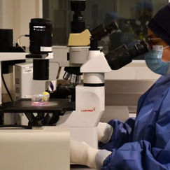 Suman 17 decesos por bacteria Klebsiella oxytoca en Michoacán, Guanajuato y EdoMex