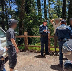 Balcón Político: Y ahora, inseguridad en los bosques de El Chico