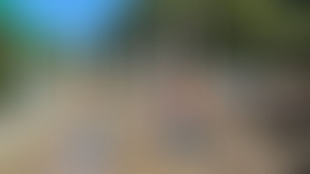 Destinará Hidalgo y Federación 8.1 MMDP para caminos y red de agua afectados por vaguada monzónica