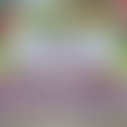 Realizan encuentro de parteras tradicionales en región de Zacualtipán