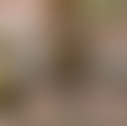 No habrá agua en colonias de Pachuca por reparaciones de Caasim