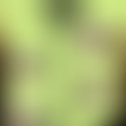 Anuncian cartelera de espectáculos de febrero en recintos de Hidalgo