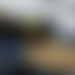 Propone PAN crear Instituto de Atención a Personas con Discapacidad