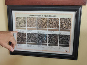 ☕Les étapes de la torréfaction