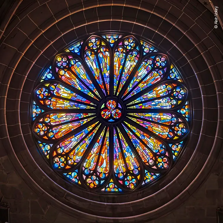 Rose - Rosace de la Cathédrale St Nicolas de Fribourg