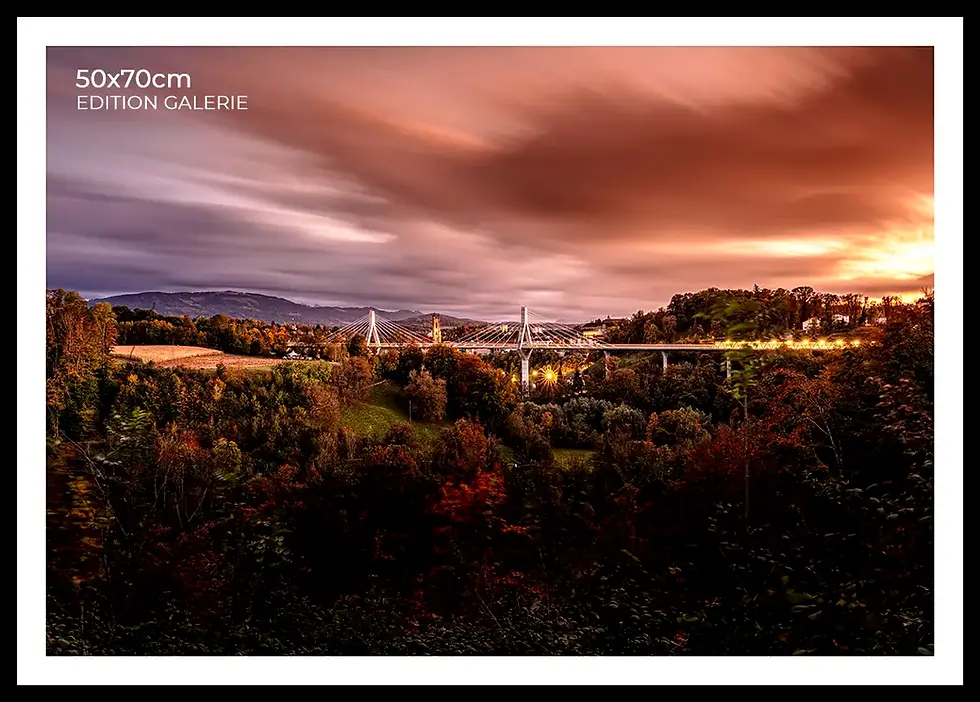 Miniature : Fribourg ArtPoya