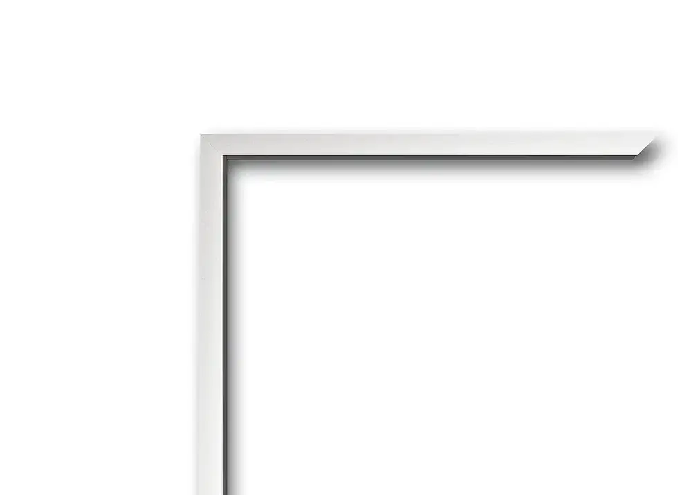 Cadre photo no 180 - Nielsen aluminium