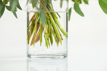 L'Atelier des Fleurs - Corminboeuf