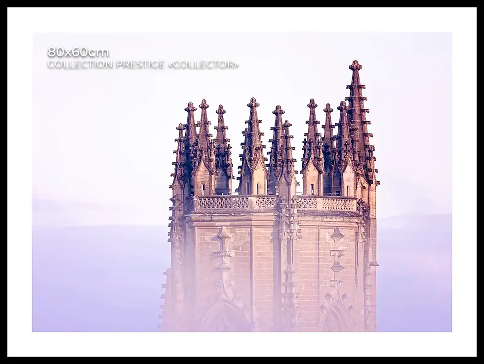 Miniature : Fribourg La Couronne de la Reine