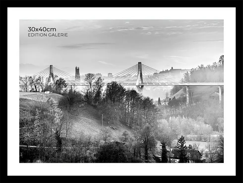 Le Pont de la Poya en NB