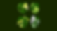 Background image of four monstera leaves with variegation