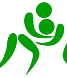 155-1555286_wrestling-pictogram-sports-wrestling-removebg-preview.png