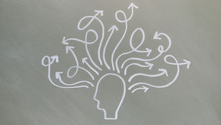 Brain Function