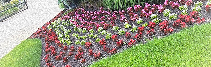 Sonoma Landscaping home page showcasing lawn care services in Toronto