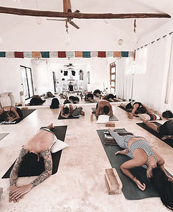 HALI LOVE COSTA RICA YOGA_edited.jpg