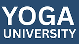 Virtual Prana (4).png