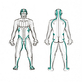 Liver Gallbladder.png