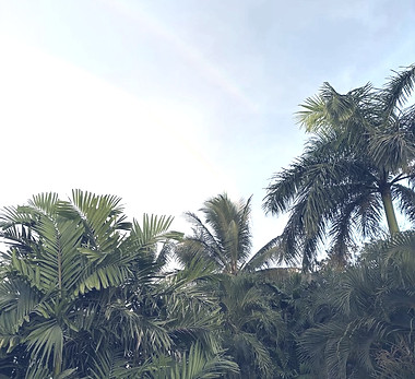 yoga teacher training costa rica playa n