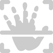 icons8-palm-scan-208 (3).png