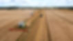DJI_0119.jpg