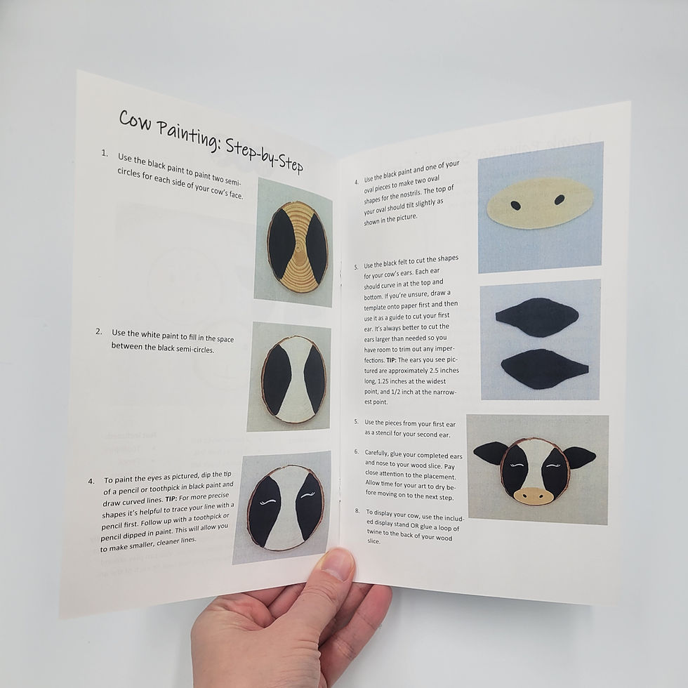 Thumbnail: Farm Animals DIY Ornament Craft Kit