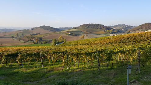 20151022_171143.jpg