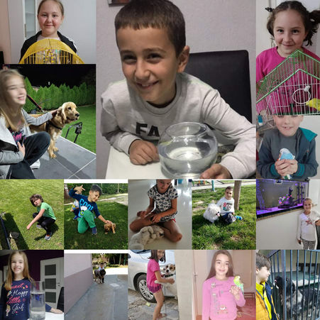  Албум со миленичиња-Ден на животните