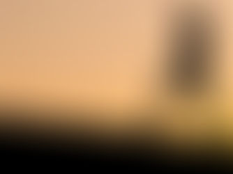 Stressed Out? Go for A Walk!