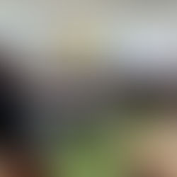 Ученичкиот парламент